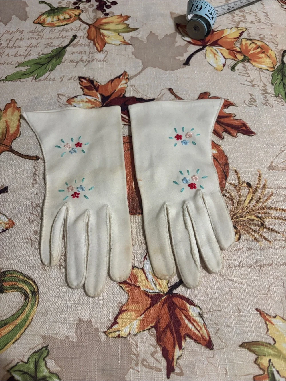 Vintage Cream Embroidered Women's Gloves